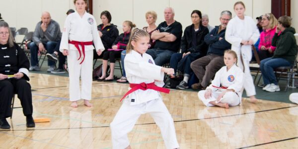 Dyersville Karate Club